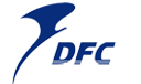 dfcraft logo